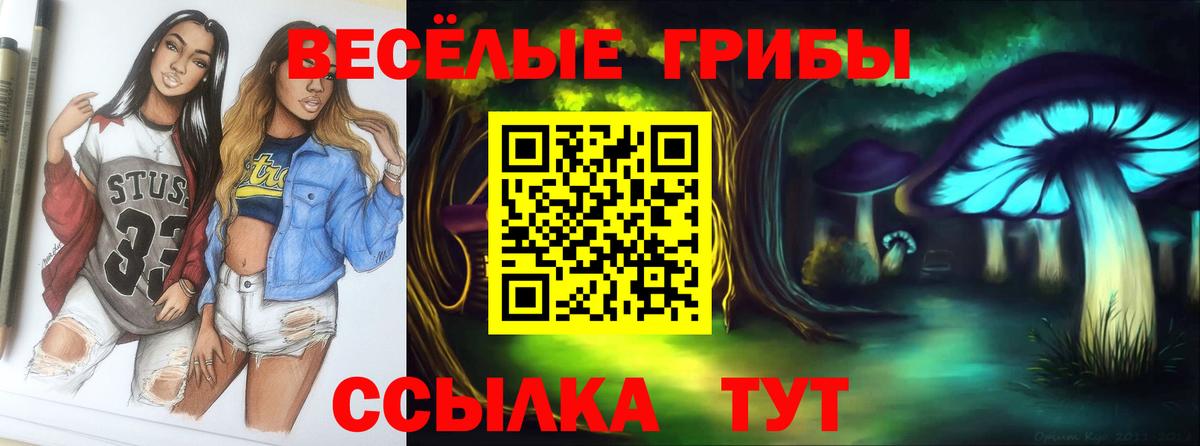 Галлюциногенные грибы прущие грибы Кирово-Чепецк