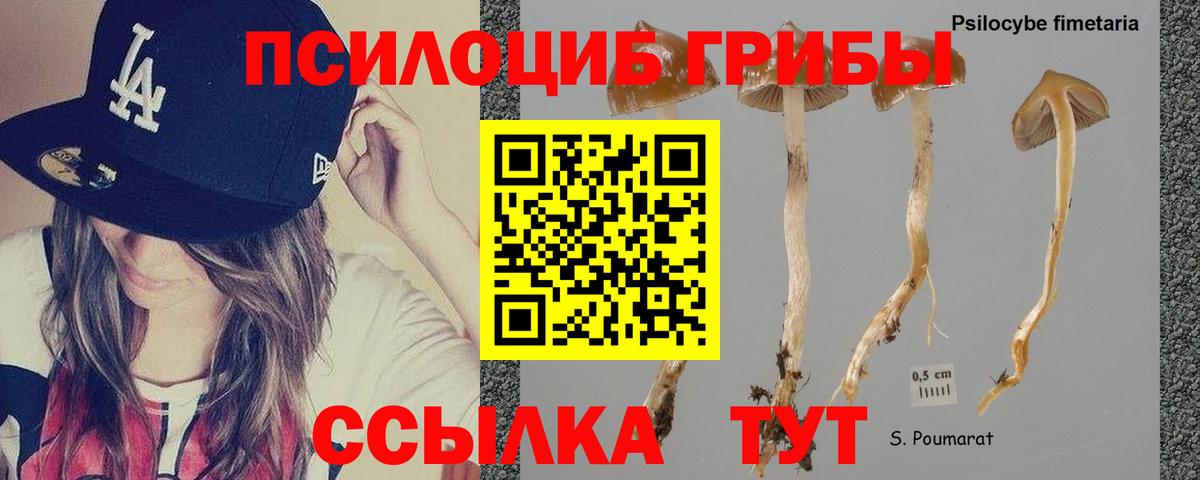 Галлюциногенные грибы MAGIC MUSHROOMS  Вход с VPN  Кирово-Чепецк  Галлюциногенные грибы Psilocybe 